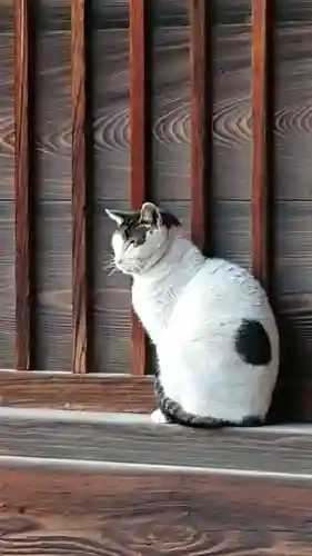 佐野赤城神社の動物