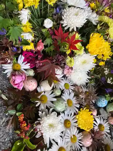 滑川神社 - 仕事と子どもの守り神の手水舎