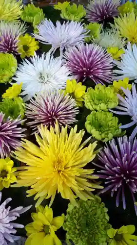 長良神社の手水舎