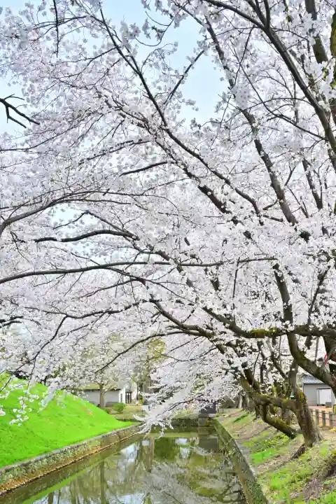 安禅寺(新潟県)
