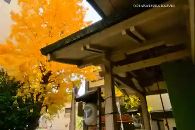 銀杏岡八幡神社(東京都)