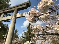 相馬神社の鳥居