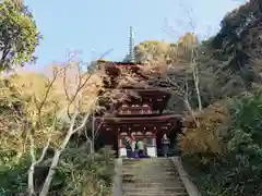 浄瑠璃寺(京都府)