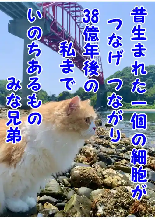 西教寺(下松駅徒歩5分)(山口県)