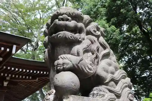 熊野福藏神社の狛犬