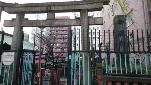 柳森神社の鳥居