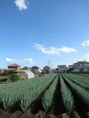 尾崎天神宮(千葉県)