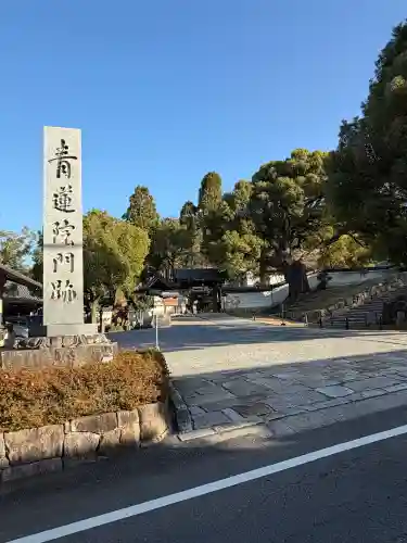 青蓮院門跡の{uncategorized: "未分類", other: "その他", undefined: "問題あり", building: "その他建物", grave: "お墓", sacred_gate: "鳥居", guardian: "狛犬", statue: "像", buddha: "仏像", history: "歴史", nature: "自然", garden: "庭園", animal: "動物", pagoda: "塔", temizu: "手水舎", mountain_gate: "山門・神門", sanctuary: "本殿・本堂", subordinate: "末社・摂社", art: "芸術", scenery: "景色", jizo: "地蔵", ema: "絵馬", goshuin: "御朱印", omikuji: "おみくじ", items: "授与品その他", amulet: "お守り", goshuincho: "御朱印帳", eats: "食事", festival: "お祭り", votive_dance: "神楽", shichigosan: "七五三参", wedding: "結婚式", experience: "体験その他", initially: "初詣", around: "周辺", anti_infection: "感染症対策"}