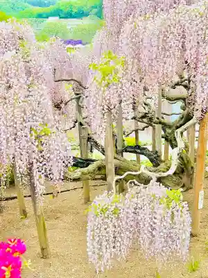 徳蔵寺(栃木県)