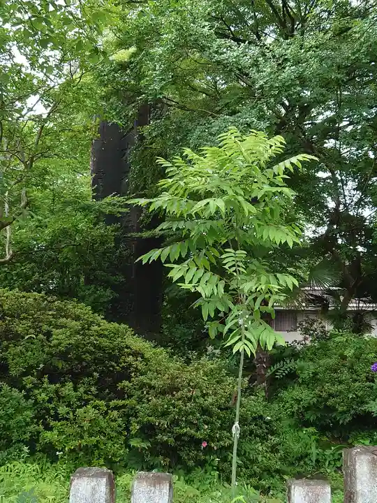 茂左衛門地蔵尊 千日堂のその他建物