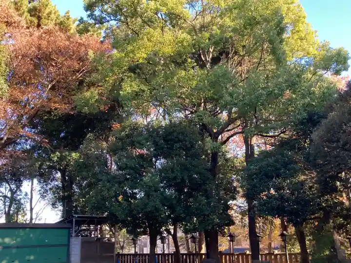 太子堂八幡神社(東京都)