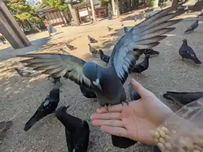 四柱神社(長野県)