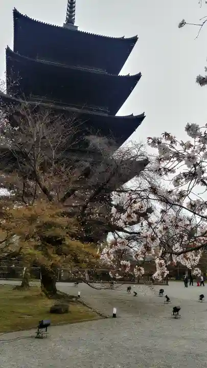 東寺(教王護国寺)(京都府)