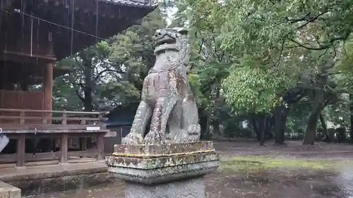 有玉神社の狛犬