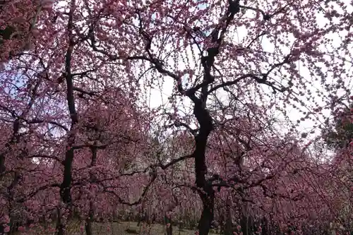 城南宮の庭園