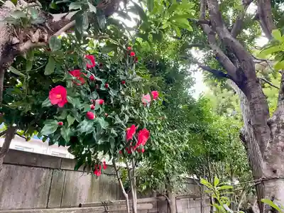 蓮乗寺(東京都)