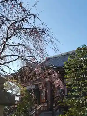 最勝寺の本殿・本堂