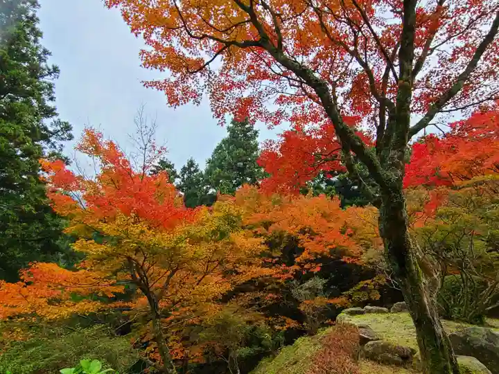 千如寺大悲王院(福岡県)