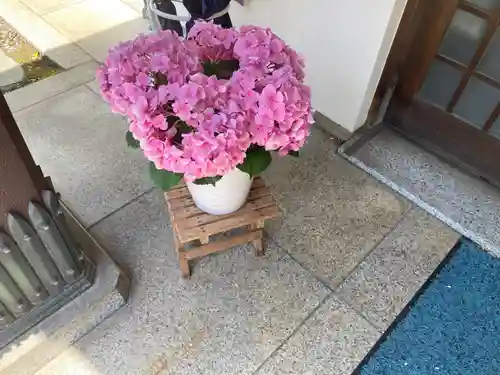 福傳寺(東京都)