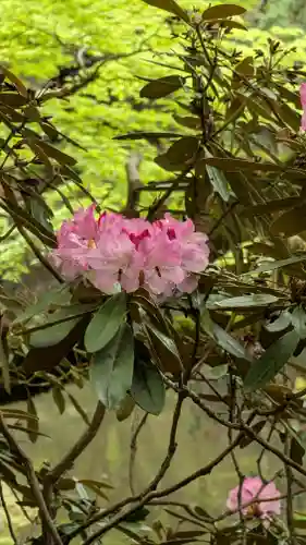 千如寺大悲王院(福岡県)