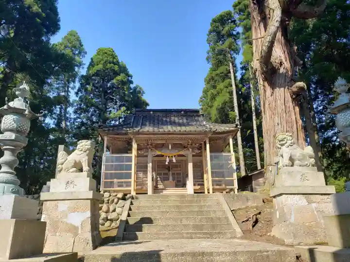 頭川神社の本殿・本堂