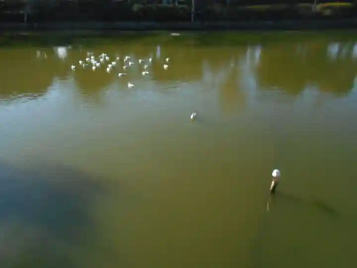 鶴岡八幡宮の景色