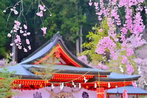金櫻神社(山梨県)