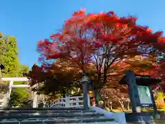 土津神社｜こどもと出世の神さまの建物その他