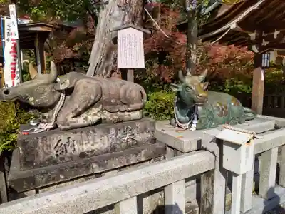 長岡天満宮の狛犬