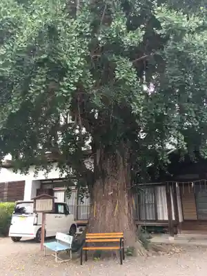 和田神社の自然