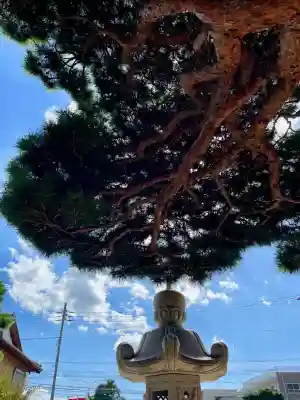 宝蔵院(千葉県)