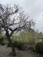 大法寺(神奈川県)