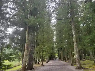 大斎原（熊野本宮大社旧社地）(和歌山県)