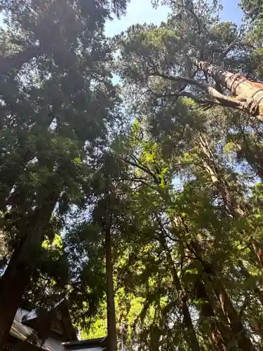 高千穂神社(宮崎県)