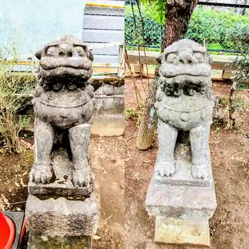 新萱田水神宮の狛犬