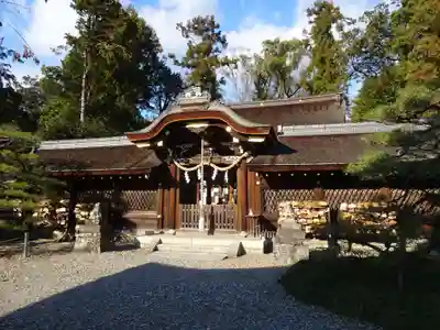 梅宮大社の本殿・本堂