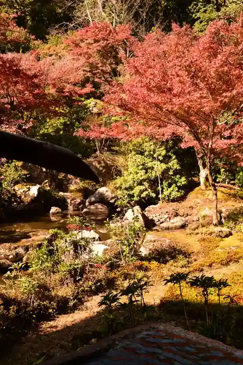 実相院門跡(京都府)