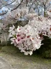 渭信寺(愛知県)