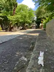 武水別神社(長野県)