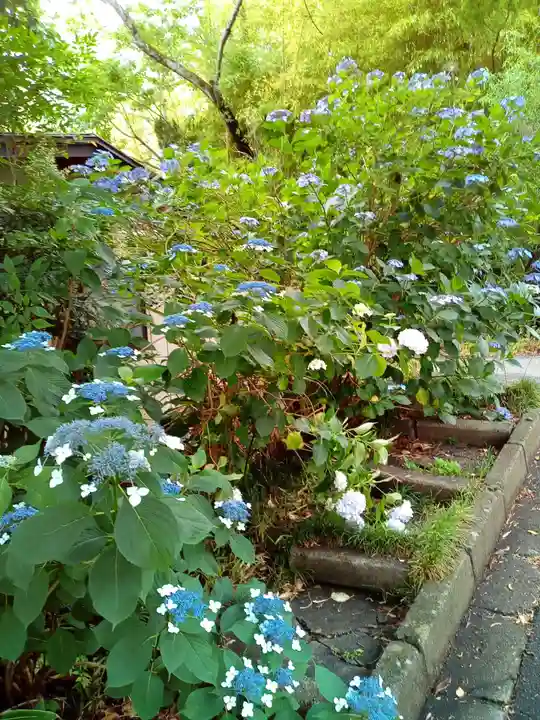 資福寺(宮城県)