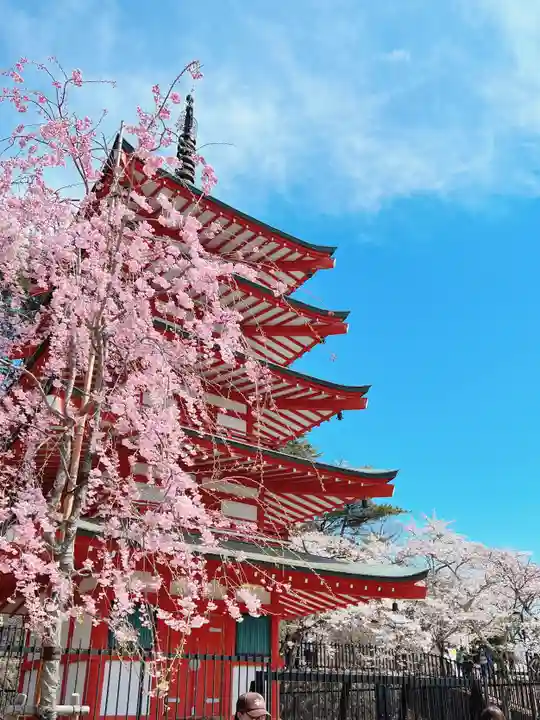 新倉富士浅間神社(山梨県)