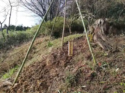 米倉神社の自然