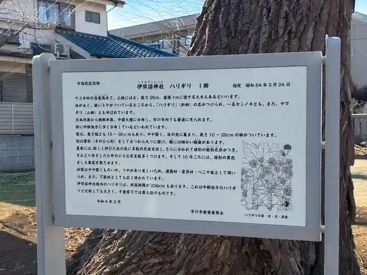 伊弉諾神社(千葉県)