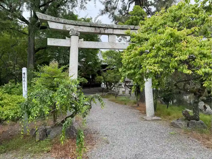 長浜八幡宮(滋賀県)