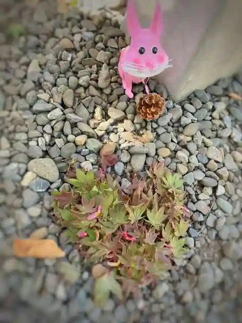 彌彦神社 (伊夜日子神社)の像