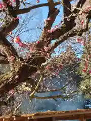 芳賀天満宮の自然