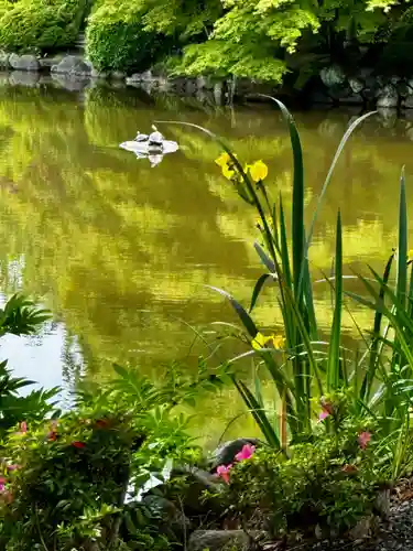 東寺（教王護国寺）(京都府)