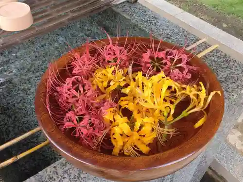 横浜　西方寺の手水舎