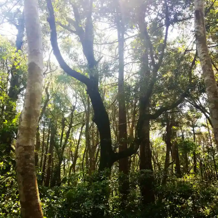 鹿島神宮の自然