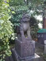 筑土八幡神社の狛犬